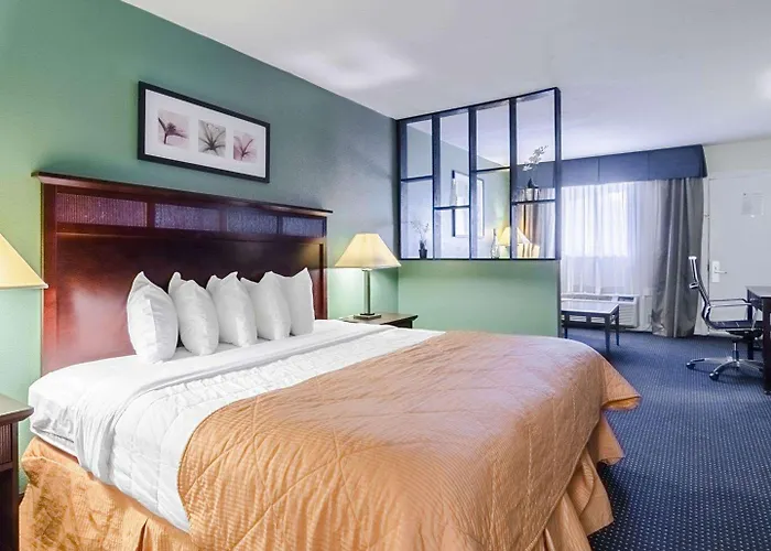 Rodeway Inn & Suites Williamsburg Central